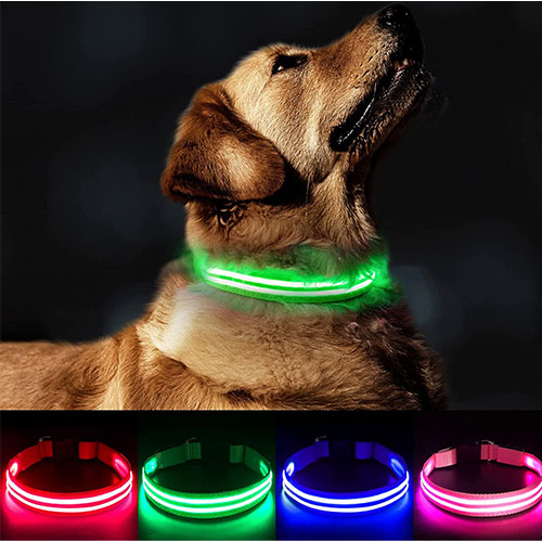 LED Gadgets LED Hundehalsband
